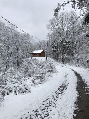 Vacation Cabins For You