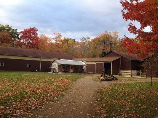 Whispering Rain Farm