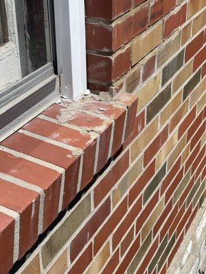 Gateway City Tuckpointing