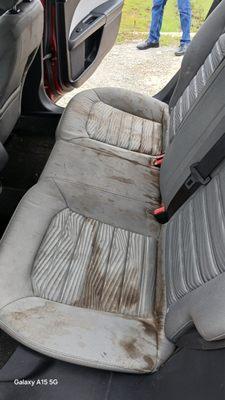 Miracle Mobile Detailing