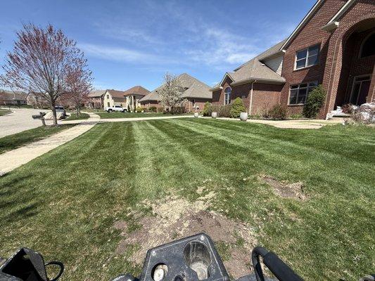 Jimmy’s Lawn Solution