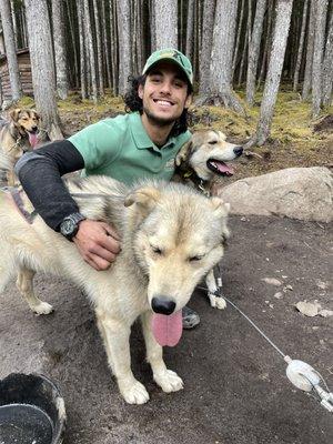 Alaska Sled Dogs & Musher's Camp