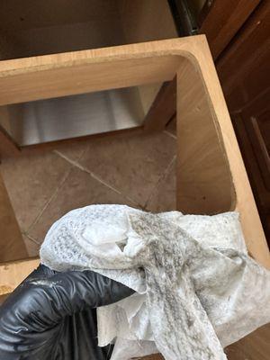 Jersey Green Cleaning