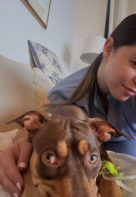 Paws and Tails in Motion