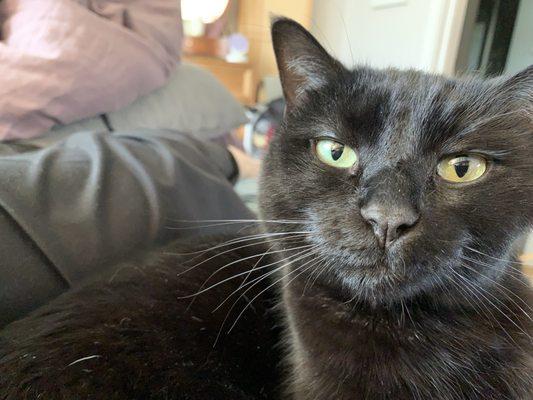 St. Paul Pet Hospital