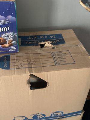 Photos of the boxes that staff at CubeSmart punched to ravage through all the boxes for more items to STEAL PERSONAL PROPERTY!