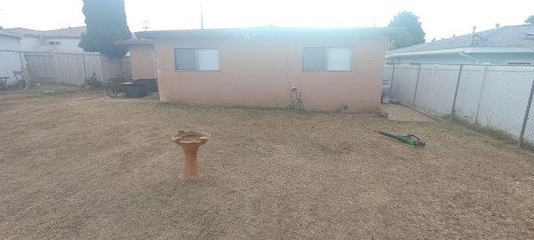 Michael The Yard Guy