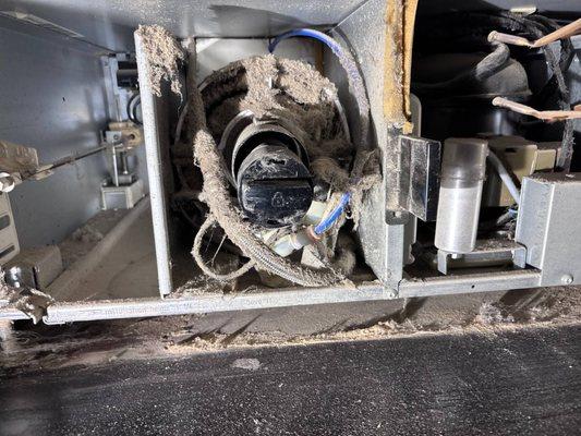 FB - Appliance Repair & Maintenance