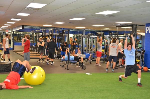 8 Olympic Platforma and Racks