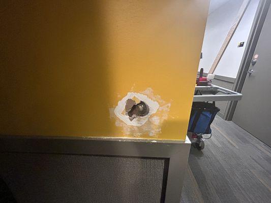 Mr. Nice Guy Home Services