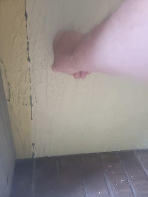 Florida Painting & Home Repair