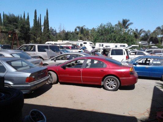 Ecology Auto Salvage