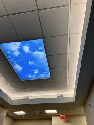 Ceiling in procedure check in area