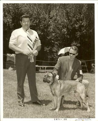 Mendocino Spay Neuter Asst Program