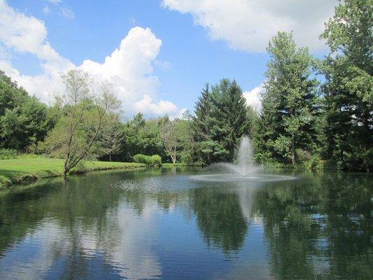 My Backyard Paradise!!!!