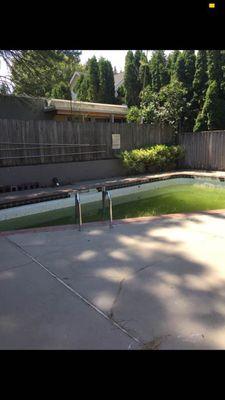 The Little Village Apts