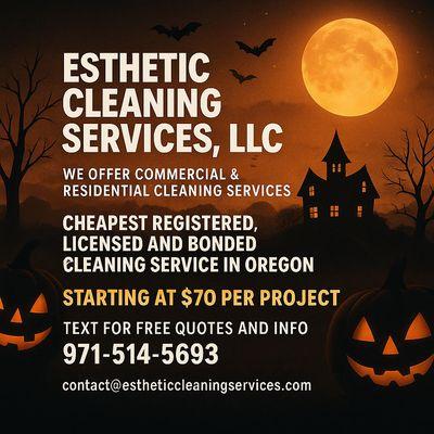 Oregon's cheapest licensed cleaning service is running a BIG holiday promo! Starting at just $70 per project
