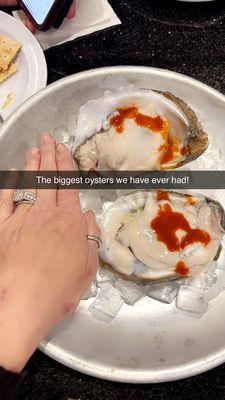 El Nautico Seafood & Bar