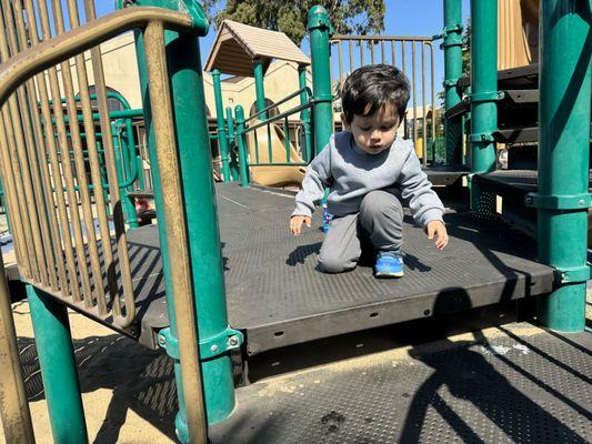 L'Academy Language Immersion Preschool