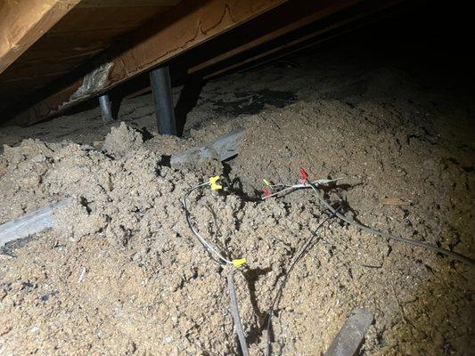 Castle Property Care