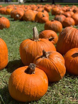 St Luke's United Methodist Church