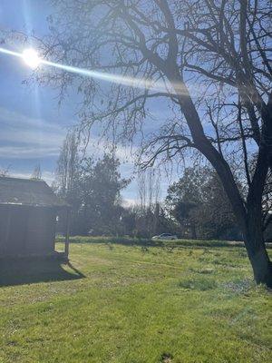 Llano House Antiques