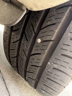South Tampa Auto & Tire