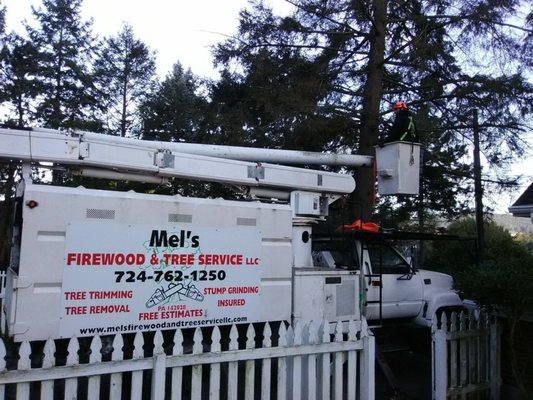 Mel's Firewood & Tree Service