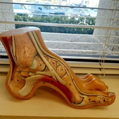 The biz needed a photo!