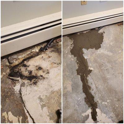 Adam Balodis & Associates