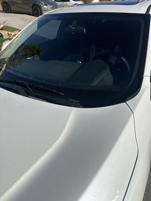AnyWindshield Auto Glass