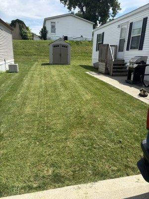 Fresh cut lawn