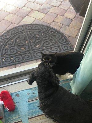 Rihanna with her best friend Kitty Kat