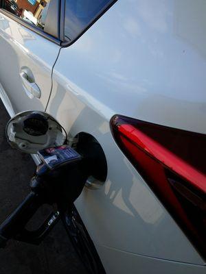 Holiday Stationstore