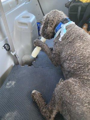 Friday Harbor Pet Supplies