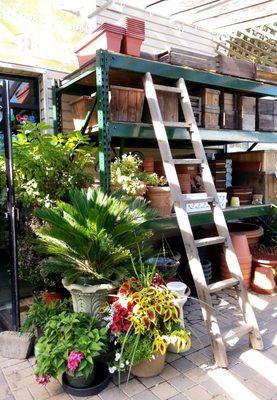 Conrad Smith Nursery