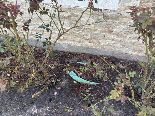 Cooper Home Window Repair