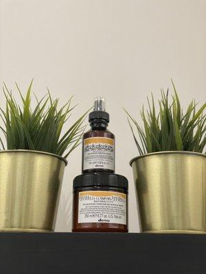 Wild Magnolia Hair Salon