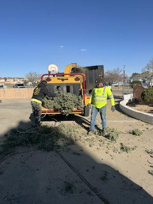 A- 1 Tree And Hauling Services