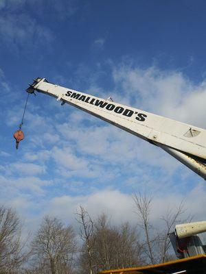 Smallwoods Tree Experts