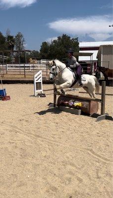 My horses first time jumping after other trainers saying she'd never be able to