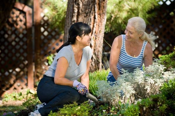 Companion care, socialization, errands, getting around