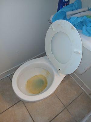 Angelica's Clean House