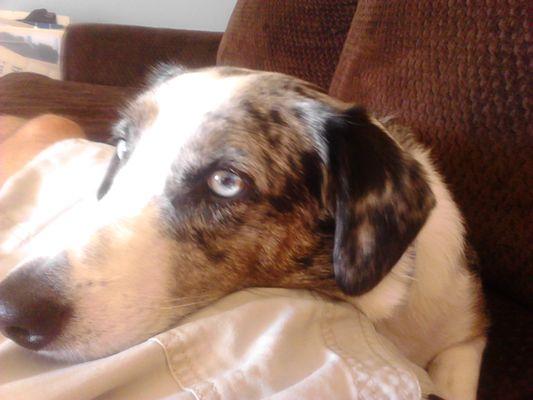 Sun City Center Veterinary Clinic