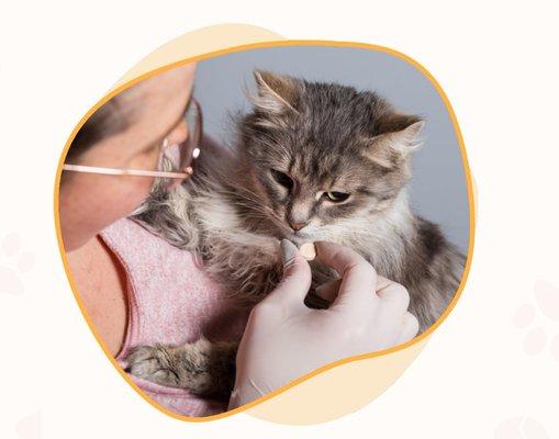 Medication Administration