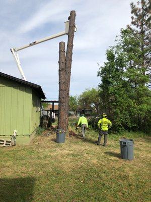 Lake County Tree Service