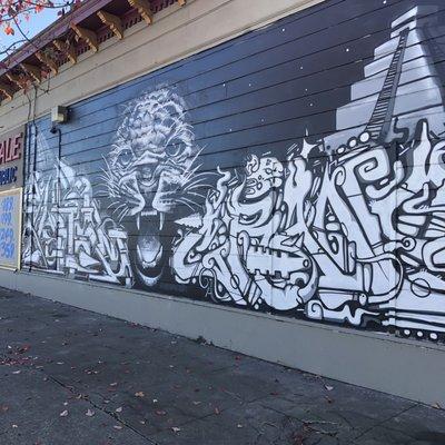 Wild cat amongst the Incas