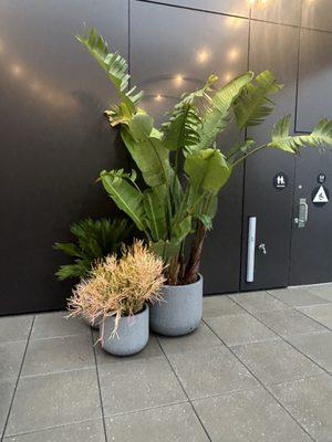 CitizenM San Francisco Union Square