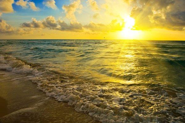 Prestige Real Estate Group