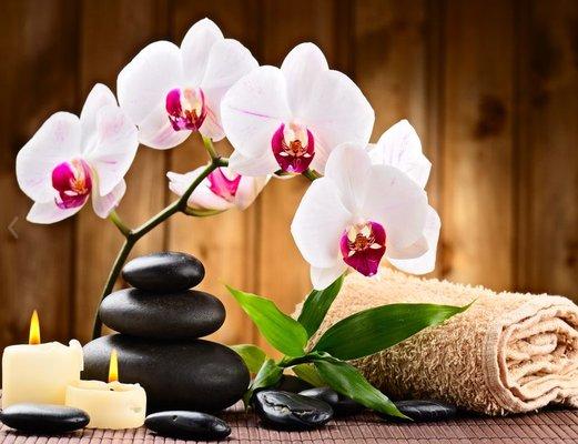 Add:2330 N Maize Rd suit:1300 Wichita ks, 67205 (Behind D.M.V) Candy spa and massage located behind Emerson Biggins Sports bar and grill.